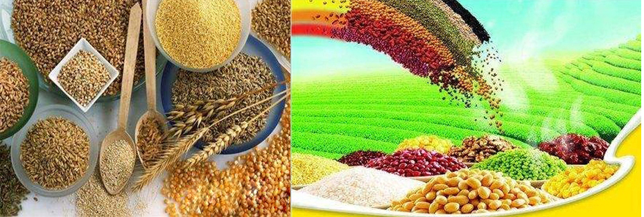 现代粮食产业体系2025年将基本建成